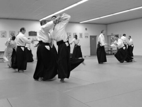 Lire la suite à propos de l’article Cours d&rsquo;aïkido adultes au Kuma no dojo