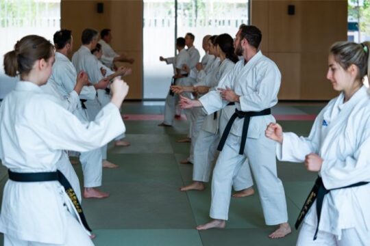 Lire la suite à propos de l’article Reprise cours WADO Lyon – saison 2018-2019