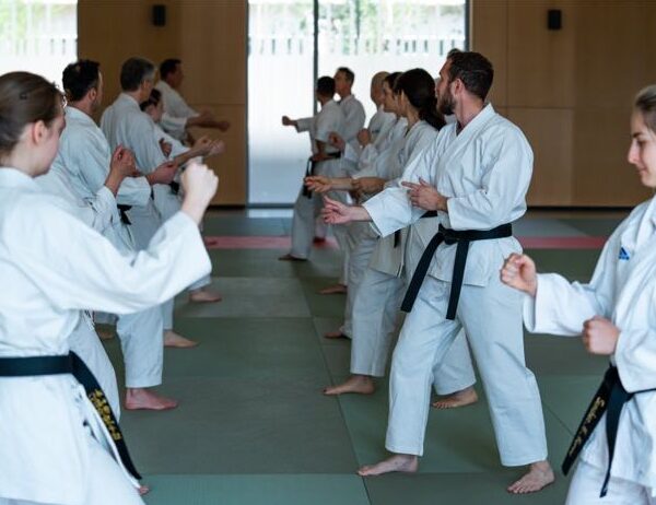 Reprise cours WADO Lyon – saison 2018-2019