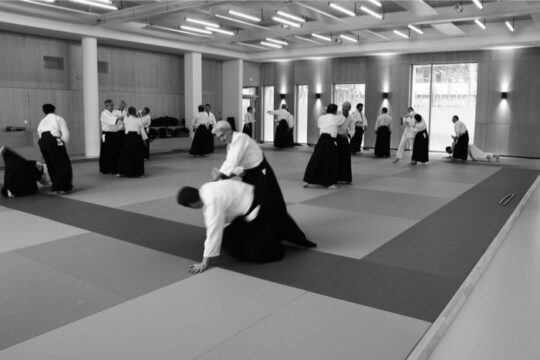 Lire la suite à propos de l’article AIKIDO CONFLUENCE – Fin de saison 2021-2022