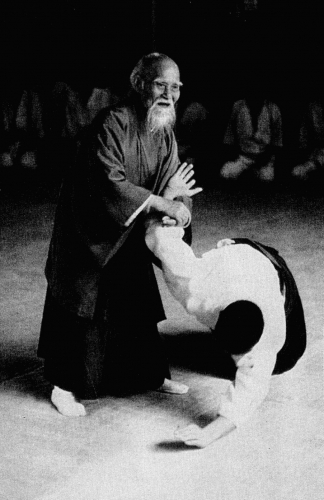 AIKIDO LYON CONFLUENCE