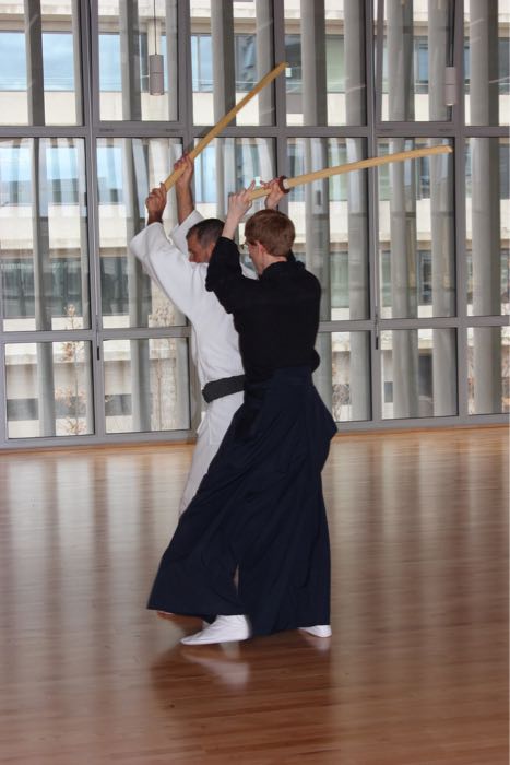 Cours IAÏDO Lyon