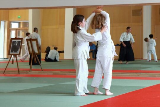 Lire la suite à propos de l’article Reprise cours Aikido Lyon – saison 2018-2019