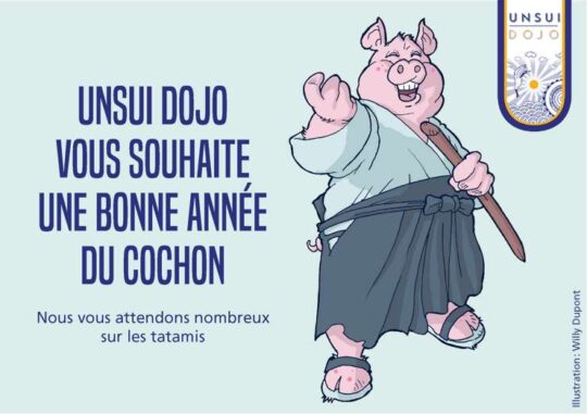 Lire la suite à propos de l’article Tous nos meilleurs voeux pour ce nouvel an chinois 2019
