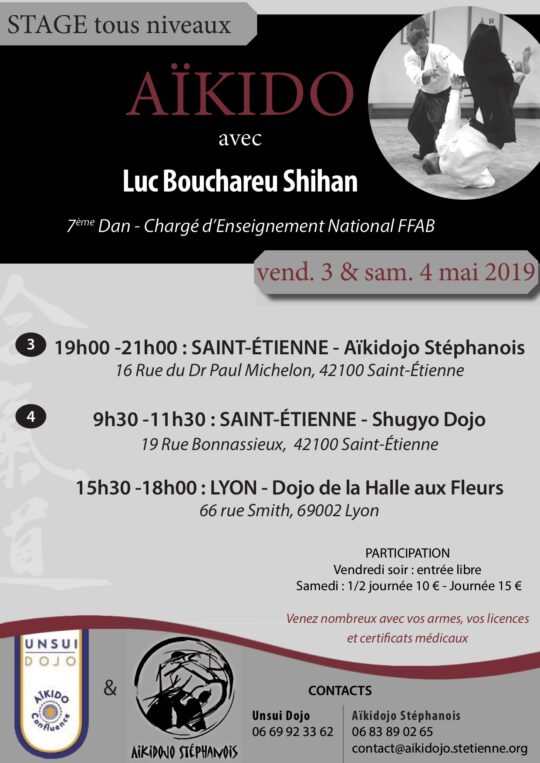 Lire la suite à propos de l’article Stage Aïkido avec Luc BOUCHAREU Shihan – Mai 2019