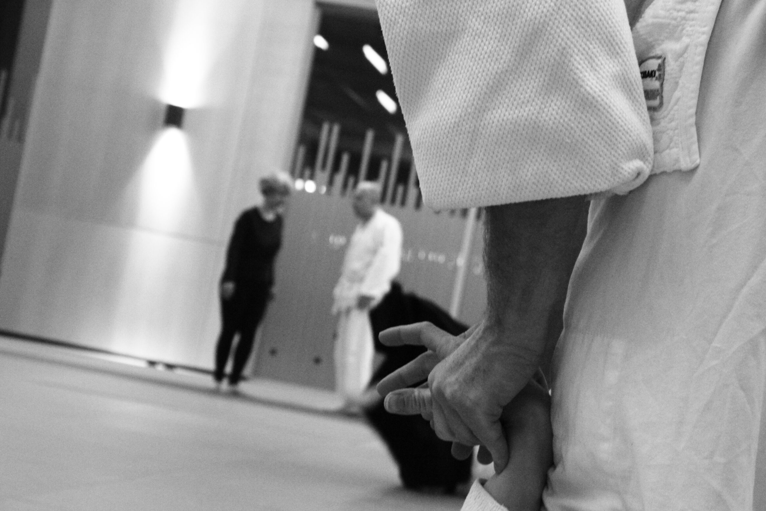 You are currently viewing Reprise cours AIKIDO Lyon – Saison 2019-2020