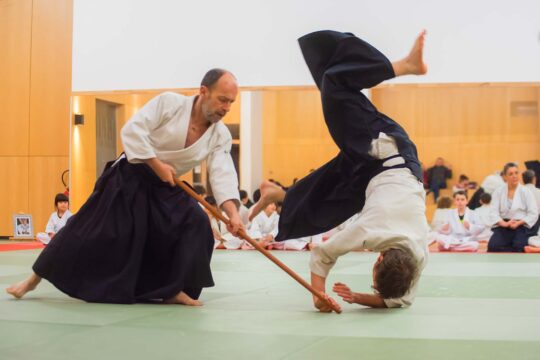 Unsui-Dojo-Aikido