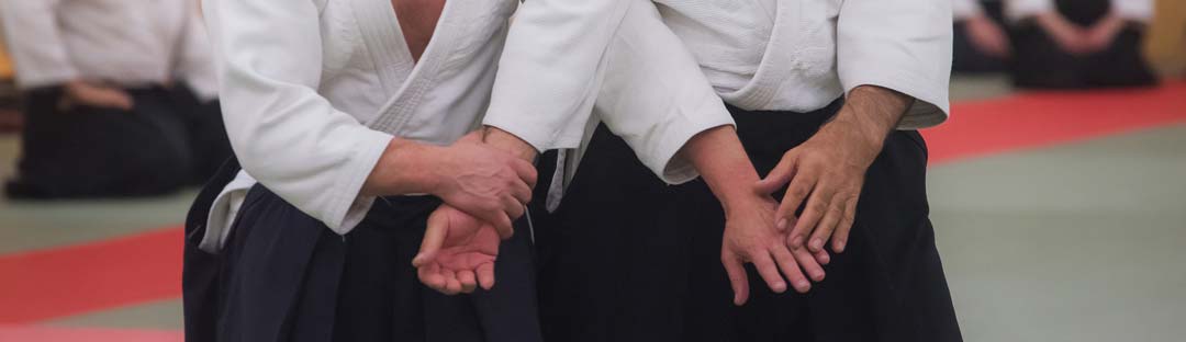 Unsui-Dojo-Aikido-Saisie
