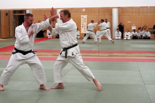 Unsui-Dojo-Karate-Wado-Ryu-1