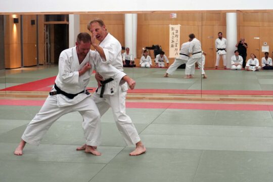 Unsui-Dojo-Karate-Wado-Ryu-2
